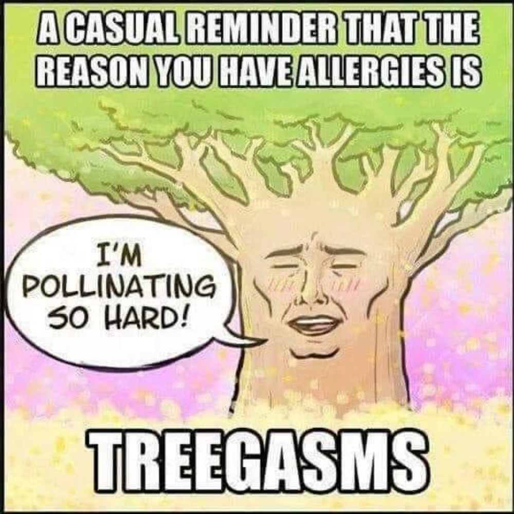 😂